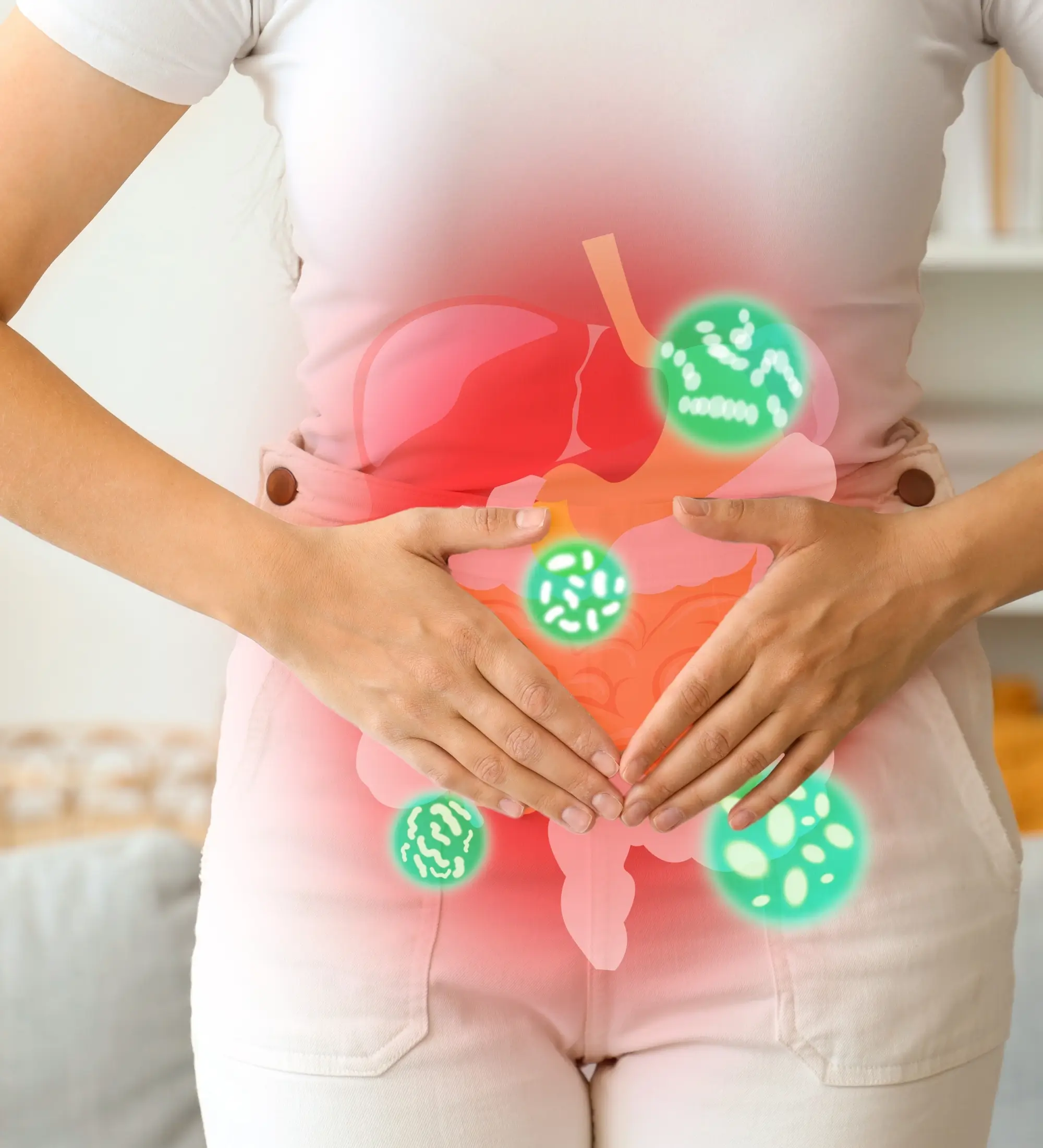 Gut Health Nutrition Program at Wellship Clinic