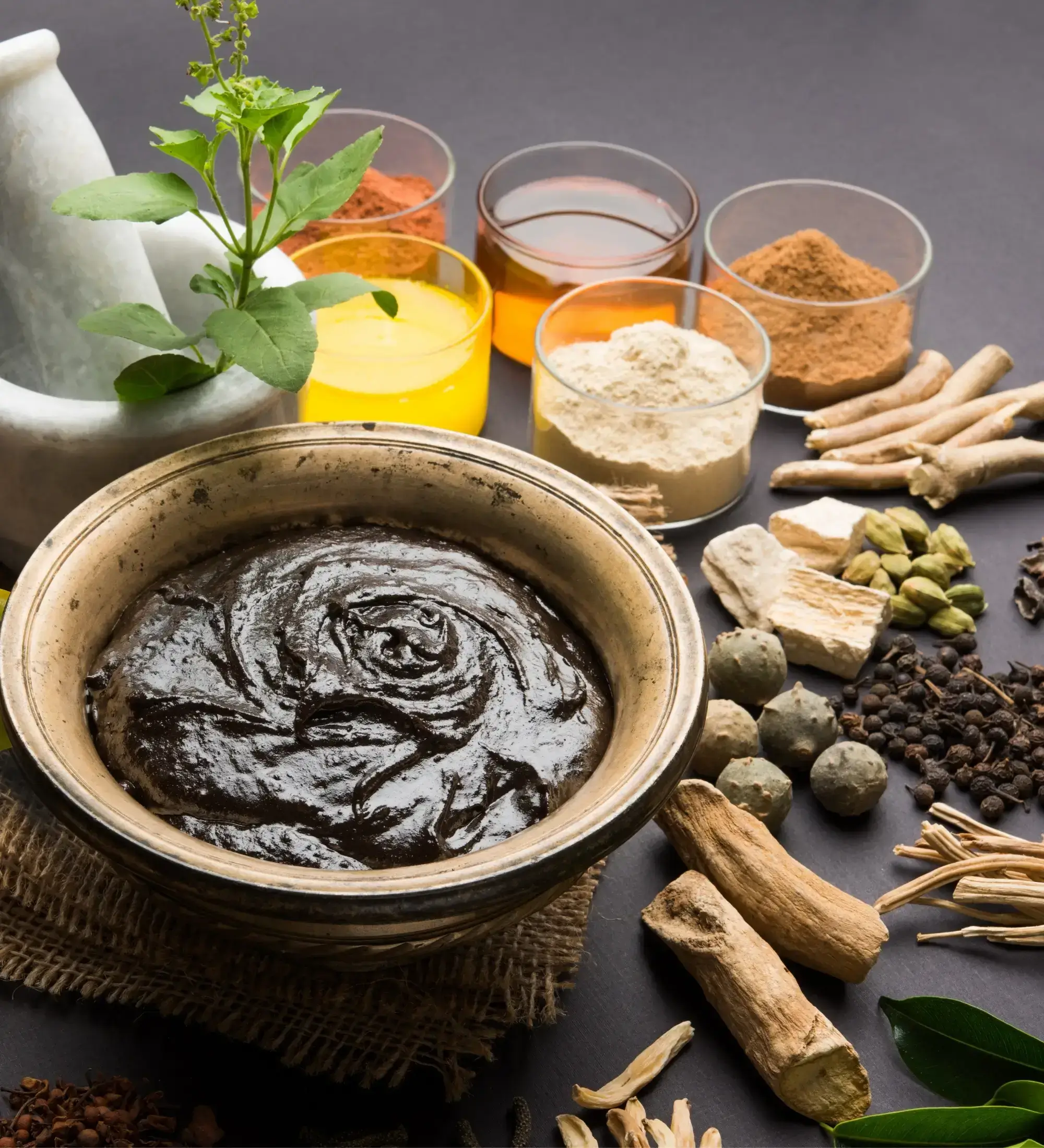 Ayurvedic Diet Program at Wellship Clinic