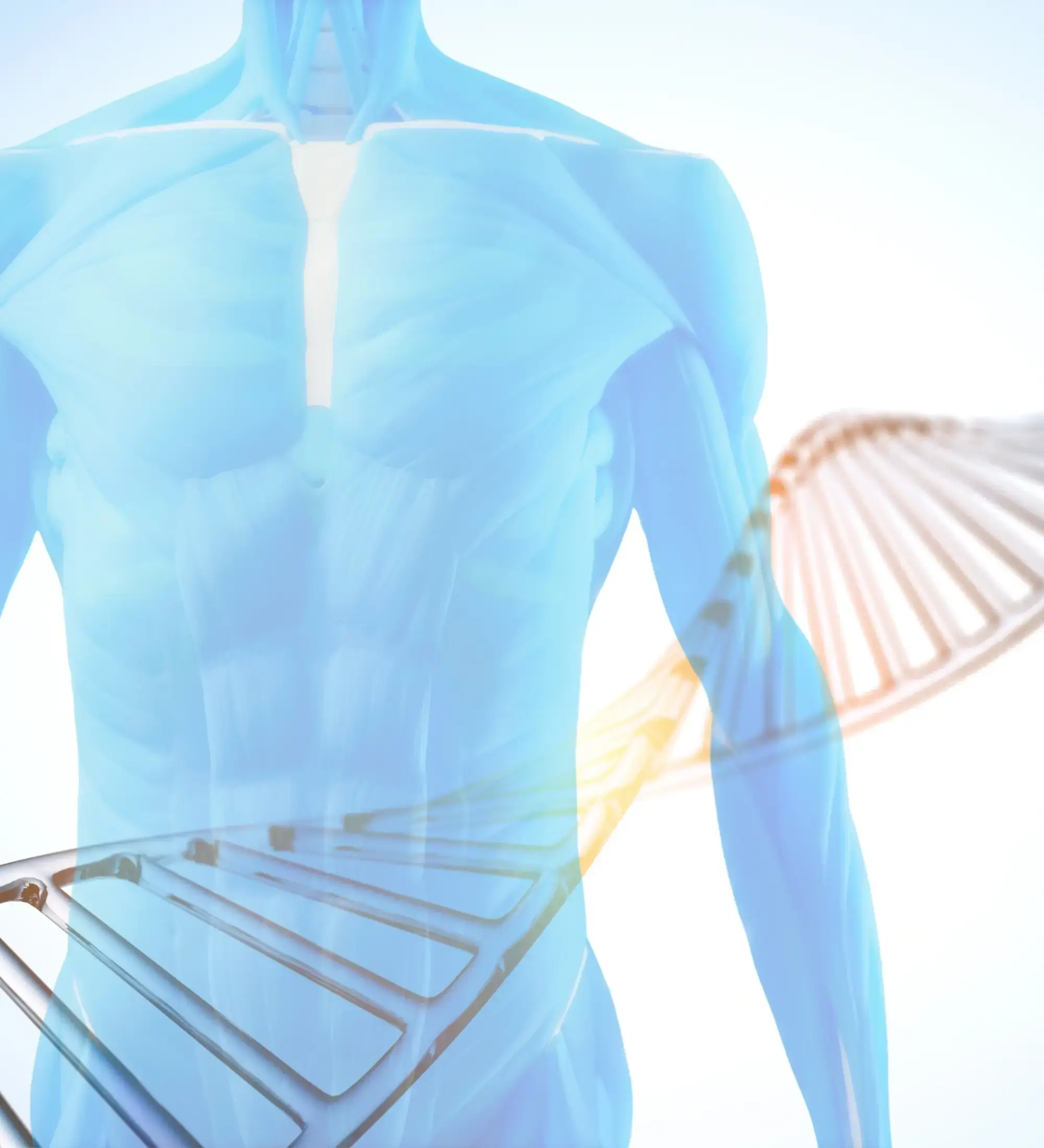 DNA Based Diet Program at Wellship Clinic